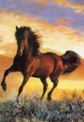 Обкладинка книги "Ой чий то кінь стоїть"