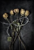 Обкладинка книги "Зів'ялі троянди"