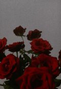 Обкладинка книги "Троянди "
