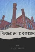 Обкладинка книги "Prisioneros de Secretos"