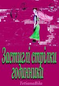 Обкладинка книги "Застиглі стрілки годинника"