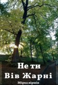 Обкладинка книги "Не ти"