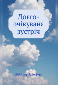 Обкладинка книги "Довгоочікувана зустріч"