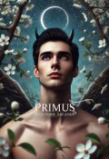 Обкладинка книги "Primus"