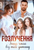 Обкладинка книги "Розлучення. Інша чекає від тебе дитину"