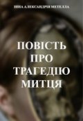 Обкладинка книги "Повість про трагедію митця"