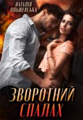 Обкладинка книги "Зворотний спалах"