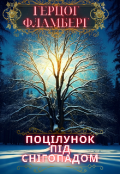 Обкладинка книги "Поцілунок під снігопадом"