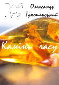 Обкладинка книги "Камінь часу "