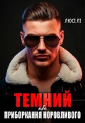 Обкладинка книги "Темний або приборкання норовливого "