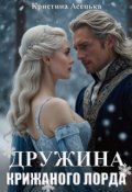 Обкладинка книги "Дружина Крижаного лорда"