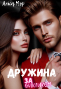 Обкладинка книги "Дружина за викликом "