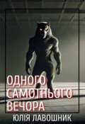 Обкладинка книги "Одного самотнього вечора"