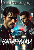 Обкладинка книги "Напарники"