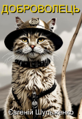Обкладинка книги "Доброволець"