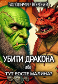 Обкладинка книги "Убити дракона, або Тут росте малина?"