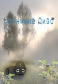 Обкладинка книги "Чорничне Диво"