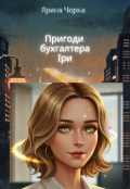 Обкладинка книги "Пригоди бухгалтера Іри"