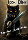 Обкладинка книги "Вовняні шкарпетки"