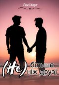 Обкладинка книги "(не) більше ніж друзі"