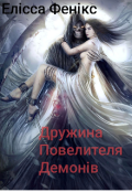Обкладинка книги "Дружина Повелителя Демонів"