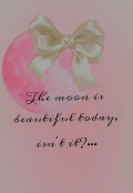 Обкладинка книги "Beautiful moon"
