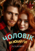 Обкладинка книги "Чоловік на новий рік "