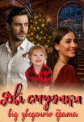 Обкладинка книги "Дві смужки від зведеного брата"