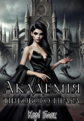 Обкладинка книги "Академія тіньового права"