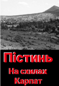 Обкладинка книги "На схилах Карпат"