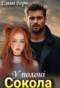 Обкладинка книги "У полоні Сокола "