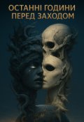 Обкладинка книги "Останні години перед заходом"