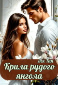 Обкладинка книги "Крила рудого Янгола."