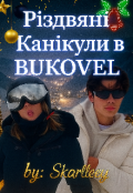 Обкладинка книги "Різдвяні канікули в Bukovel"