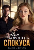 Обкладинка книги "Моя заборонена спокуса "