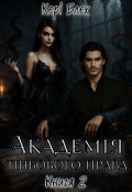 Обкладинка книги "Академія Тіньового Права 2"