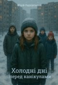 Обкладинка книги "Холодні дні перед канікулами"