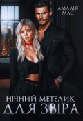 Обкладинка книги "Нічний метелик для Звіра"