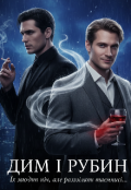 Обкладинка книги "Дим і Рубін"