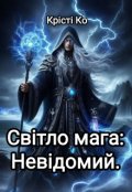 Обкладинка книги "Світло мага: Невідомий."