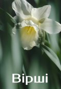 Обкладинка книги "Вірші "