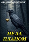 Обкладинка книги "Не за планом"