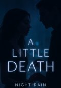 Обкладинка книги "A Little Death"