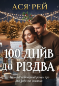 Обкладинка книги "100 днів до Різдва "