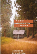Обкладинка книги "Коли мовчать романи"