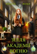 Обкладинка книги "Зілля Академії Вогню"
