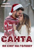 Обкладинка книги "Санта як сніг на голову"