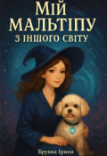 Обкладинка книги "Мій мальтіпу з іншого світу"