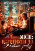 Обкладинка книги "Місія: Встигнути до Нового року."