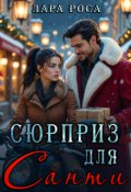 Обкладинка книги "Сюрприз для Санти"